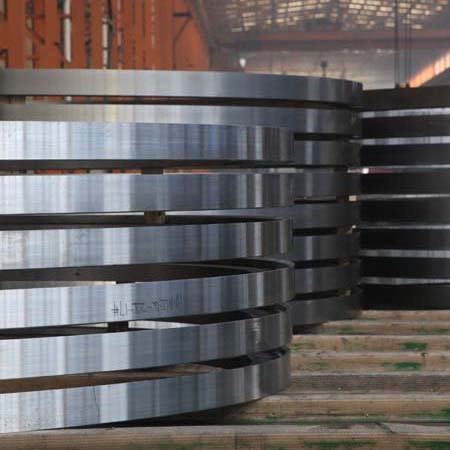 金風(fēng)風(fēng)電項目