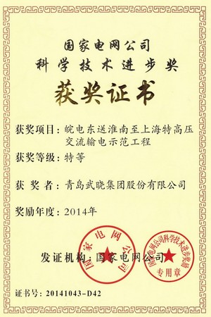 科學技術進步獎-國網(wǎng)公司